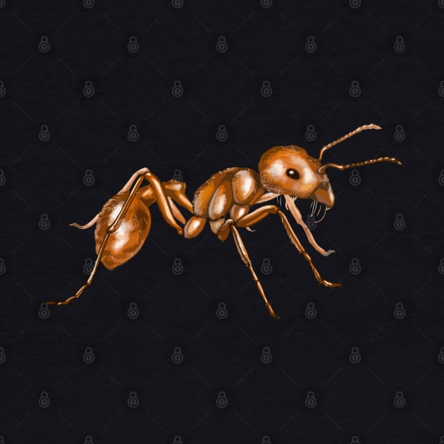 Ant by tonycastell